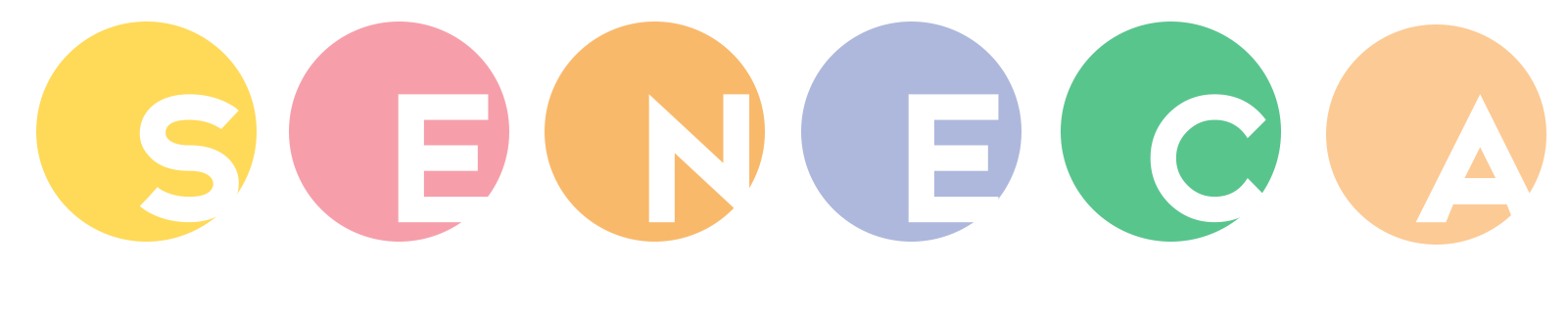Seneca Media Nigeria LTD